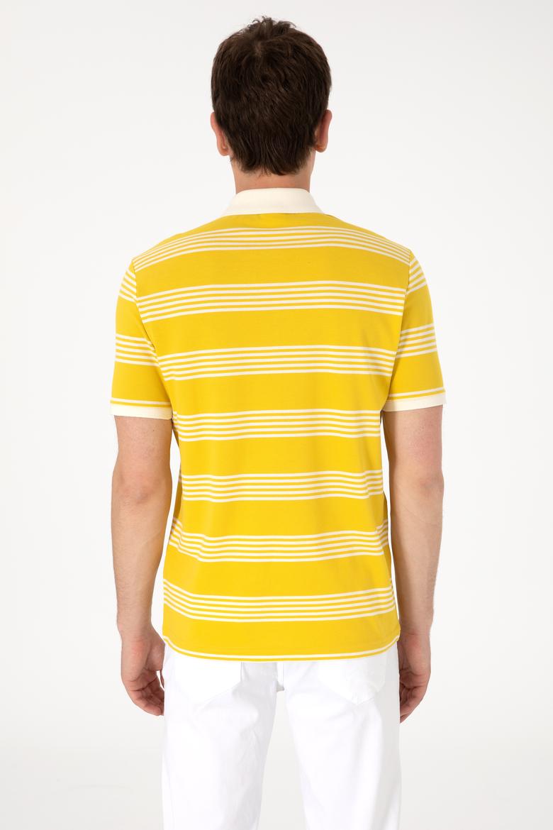 Erkek Regular Fit Polo Yaka Sarı Çizgili Tişört - 50306826029
