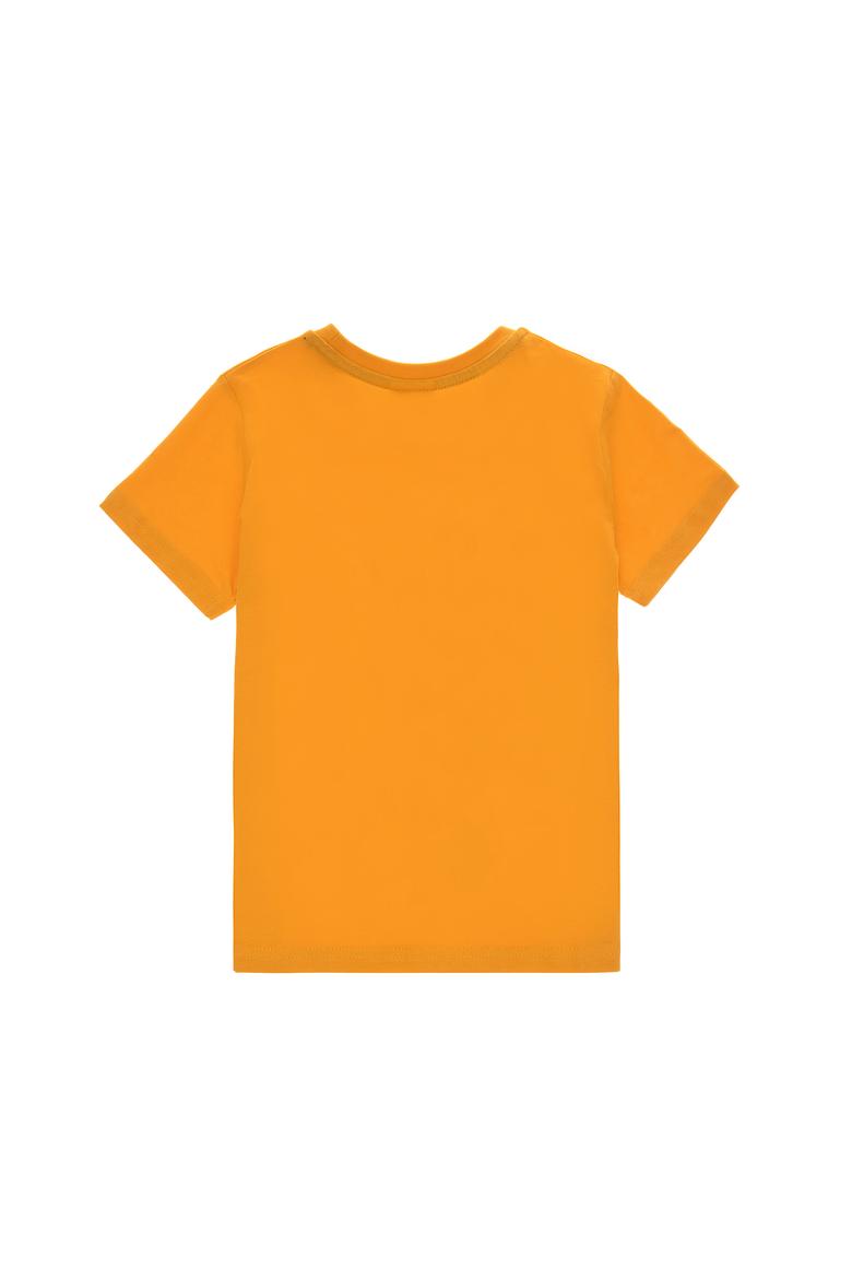 Erkek Çocuk Hardal Pijama Takımı - 50294353017