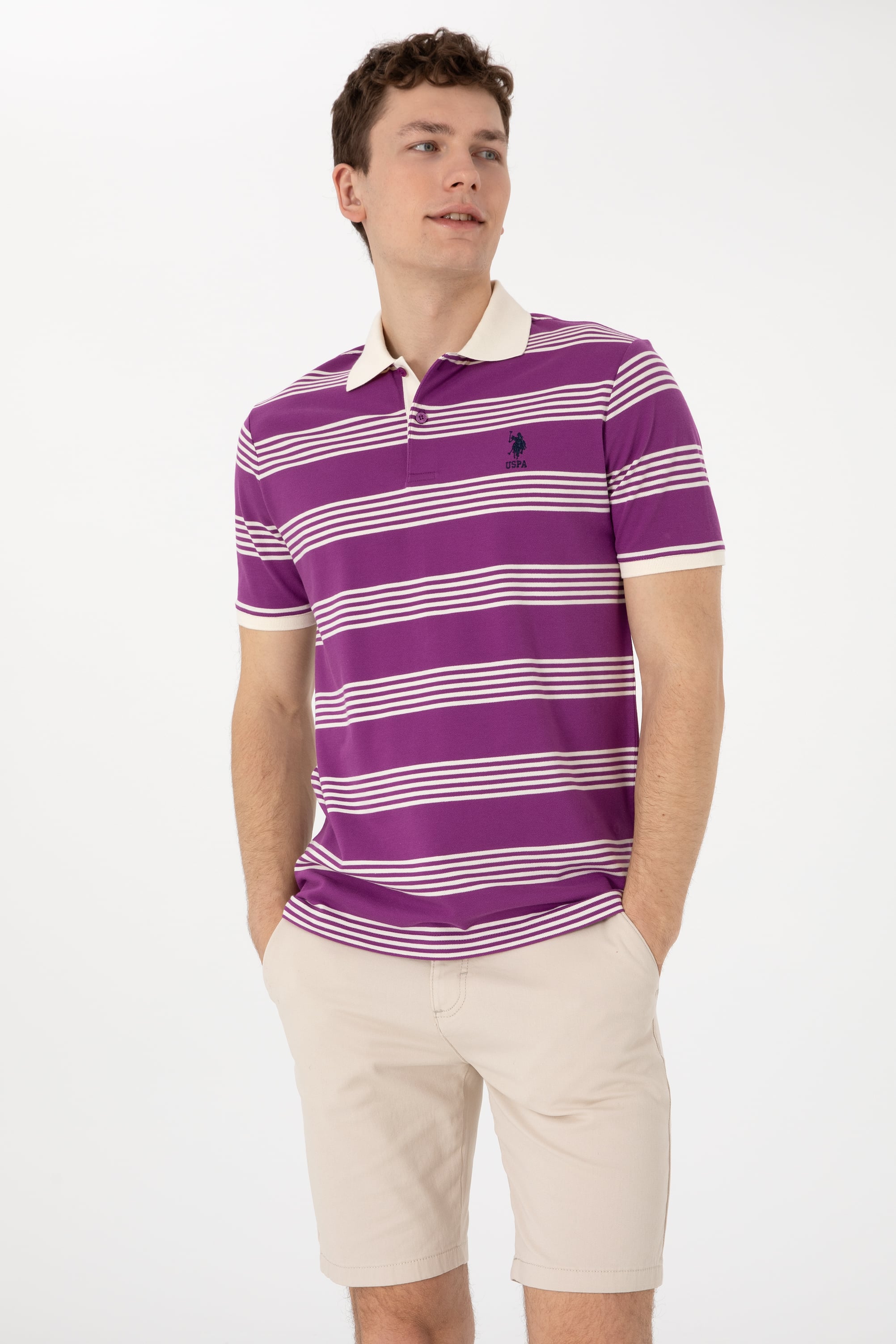 Erkek Regular Fit Polo Yaka Menekşe Çizgili Tişört