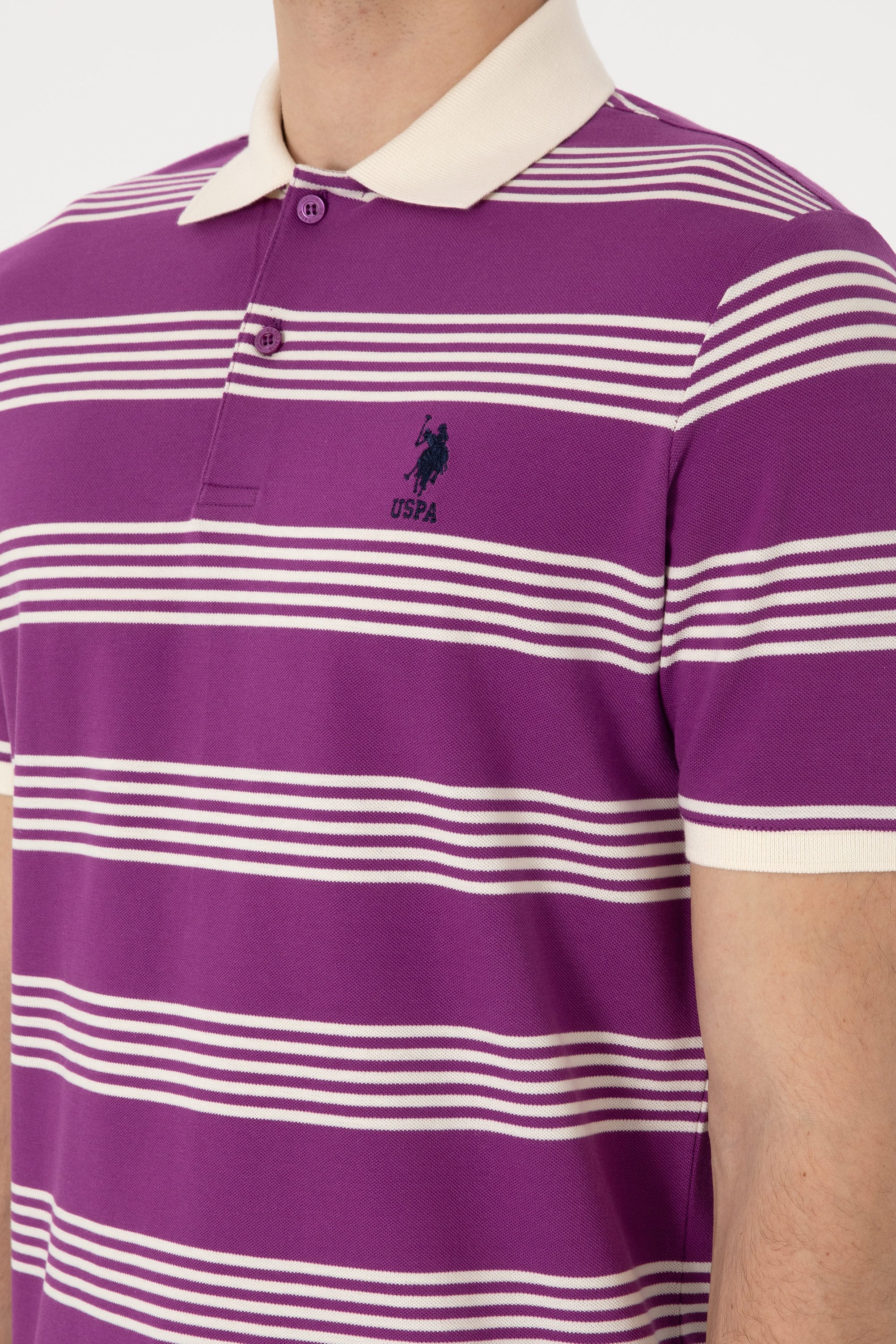 Erkek Regular Fit Polo Yaka Menekşe Çizgili Tişört