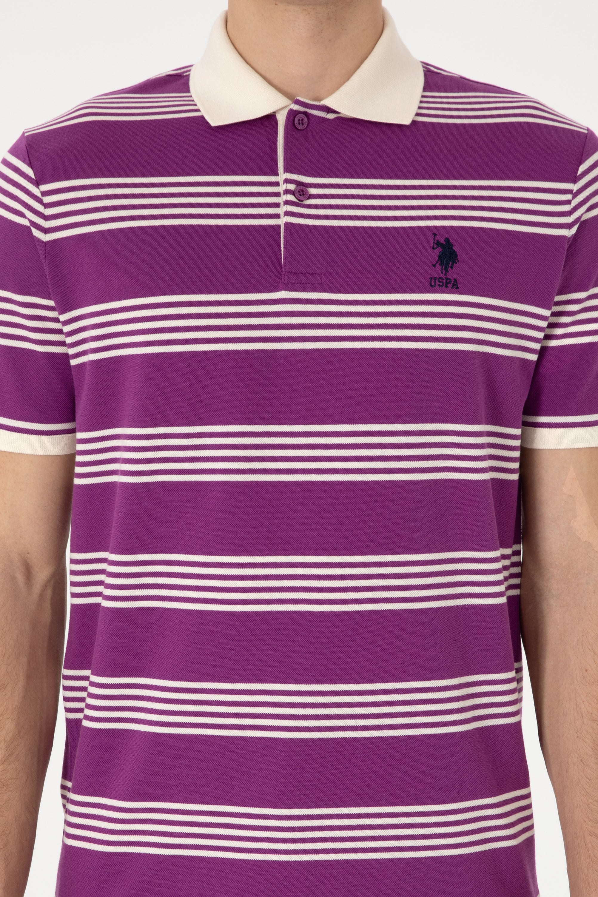 Erkek Regular Fit Polo Yaka Menekşe Çizgili Tişört