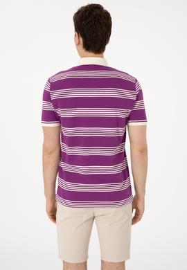 Erkek Regular Fit Polo Yaka Menekşe Çizgili Tişört - 50306826009