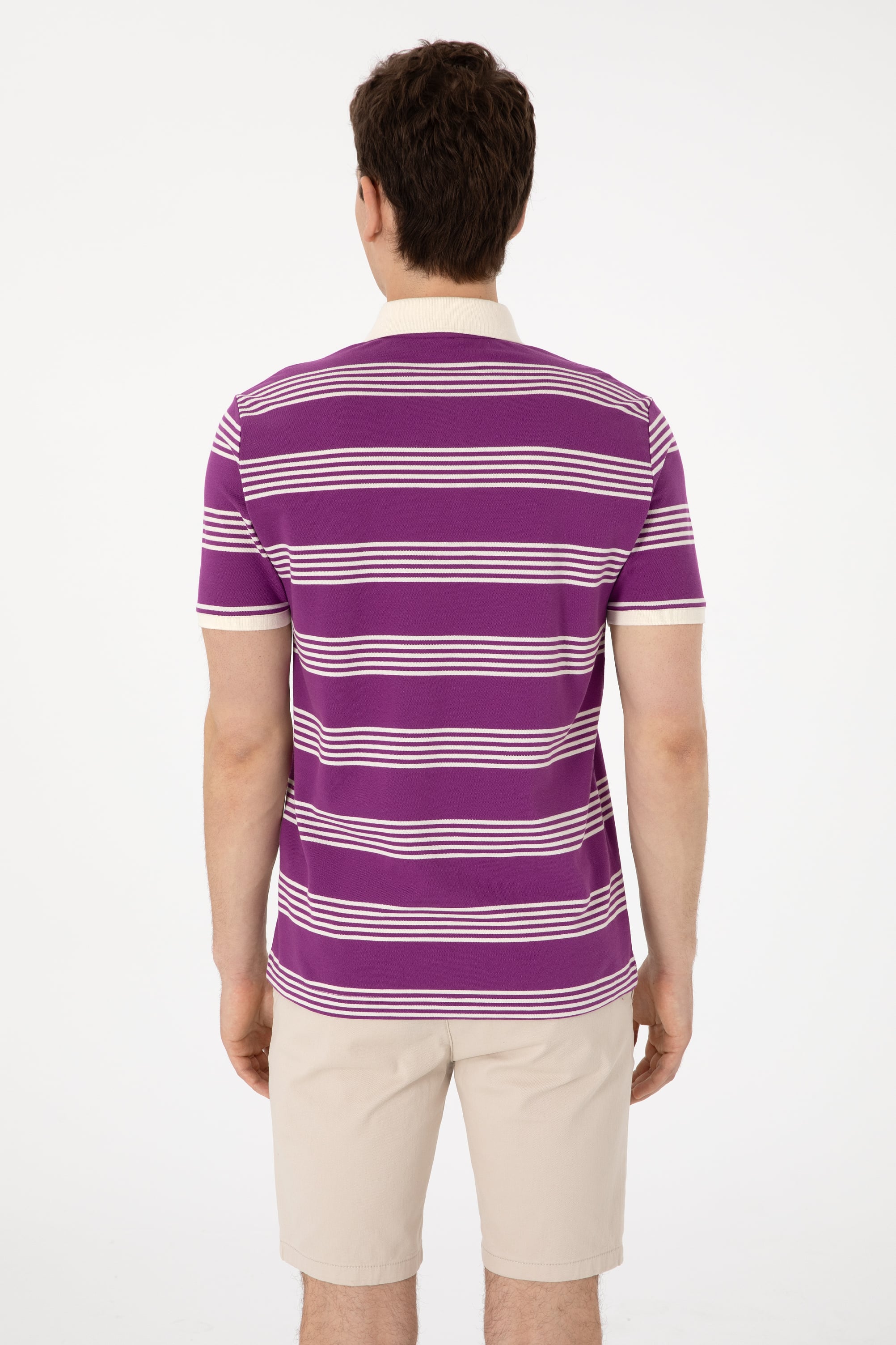 Erkek Regular Fit Polo Yaka Menekşe Çizgili Tişört - Image 5