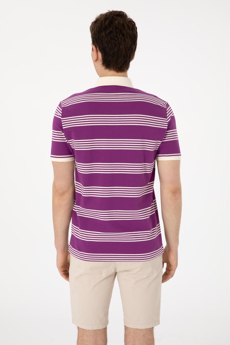 Erkek Regular Fit Polo Yaka Menekşe Çizgili Tişört - 50306826009