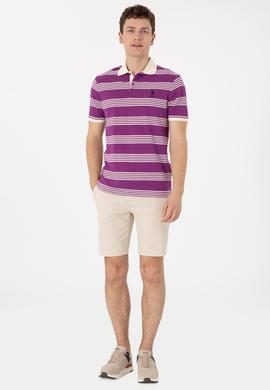 Erkek Regular Fit Polo Yaka Menekşe Çizgili Tişört - 50306826009