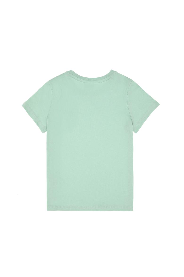 Erkek Çocuk Su Yeşili Basic Bisiklet Yaka Tişört - 50306502044