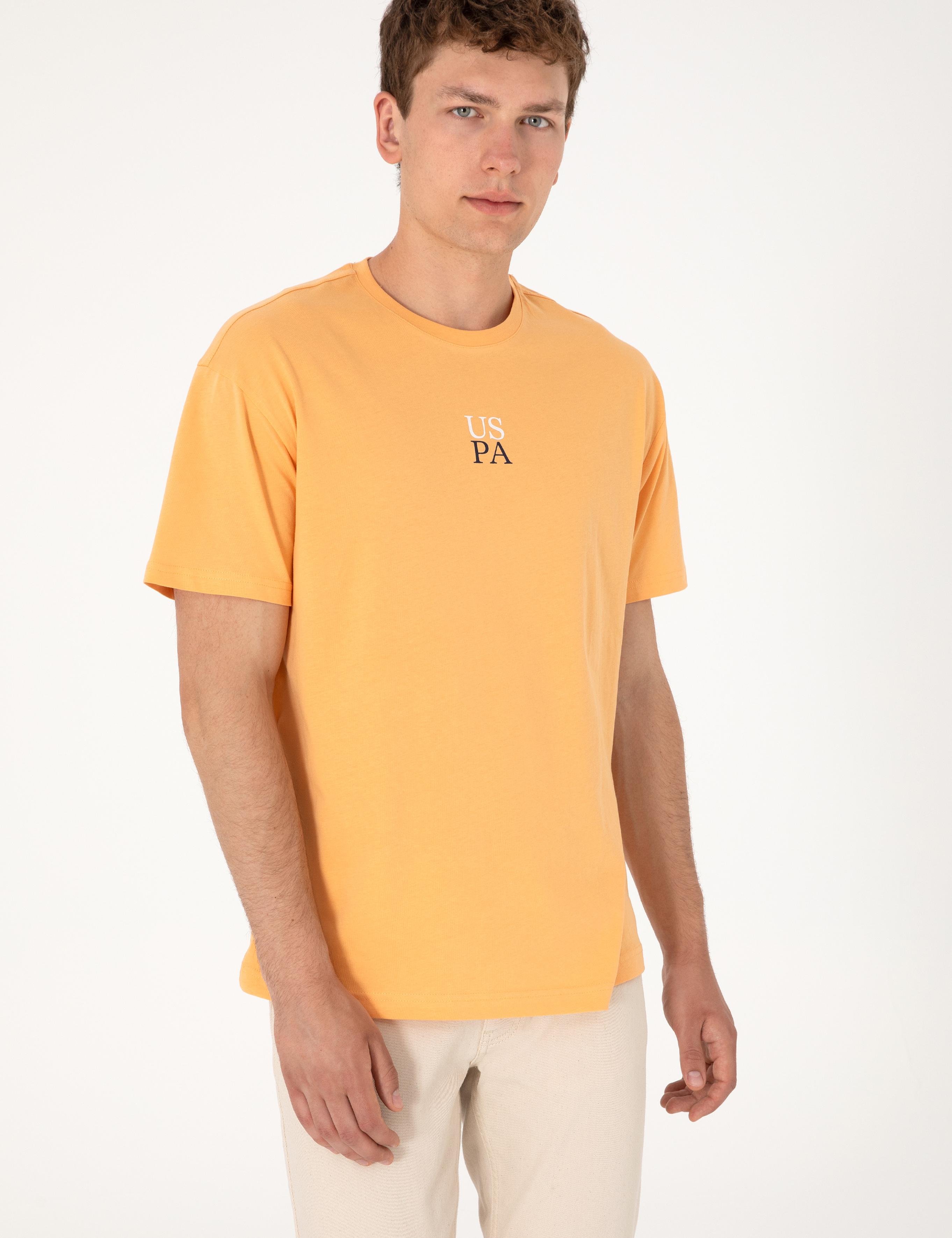 تی شرت یقه گرد آستین کوتاه ریلکس یقه گرد مردانه یو اس پولو | U.S. Polo Assn. - تصویر 5