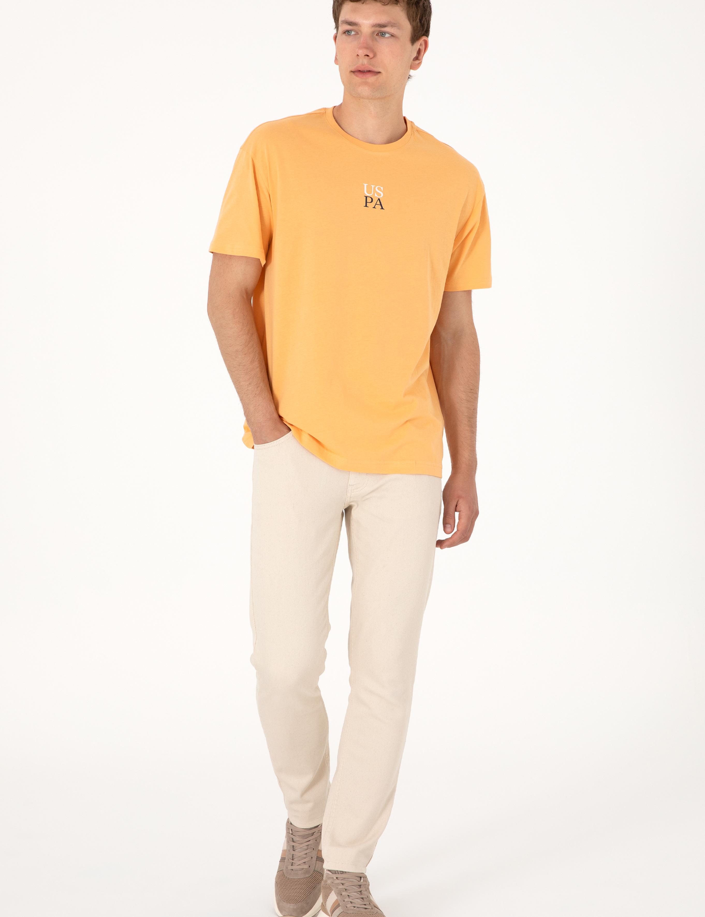 تی شرت یقه گرد آستین کوتاه ریلکس یقه گرد مردانه یو اس پولو | U.S. Polo Assn. - تصویر 6