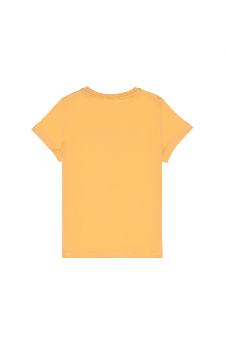 Erkek Çocuk Kavun Bisiklet Yaka Tişört - 50307174015