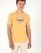 Erkek Regular Fit Bisiklet Yaka Turuncu Tişört
