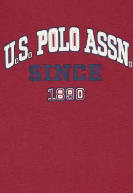 Erkek Çocuk Vişne Bisiklet Yaka Tişört - 50307174068