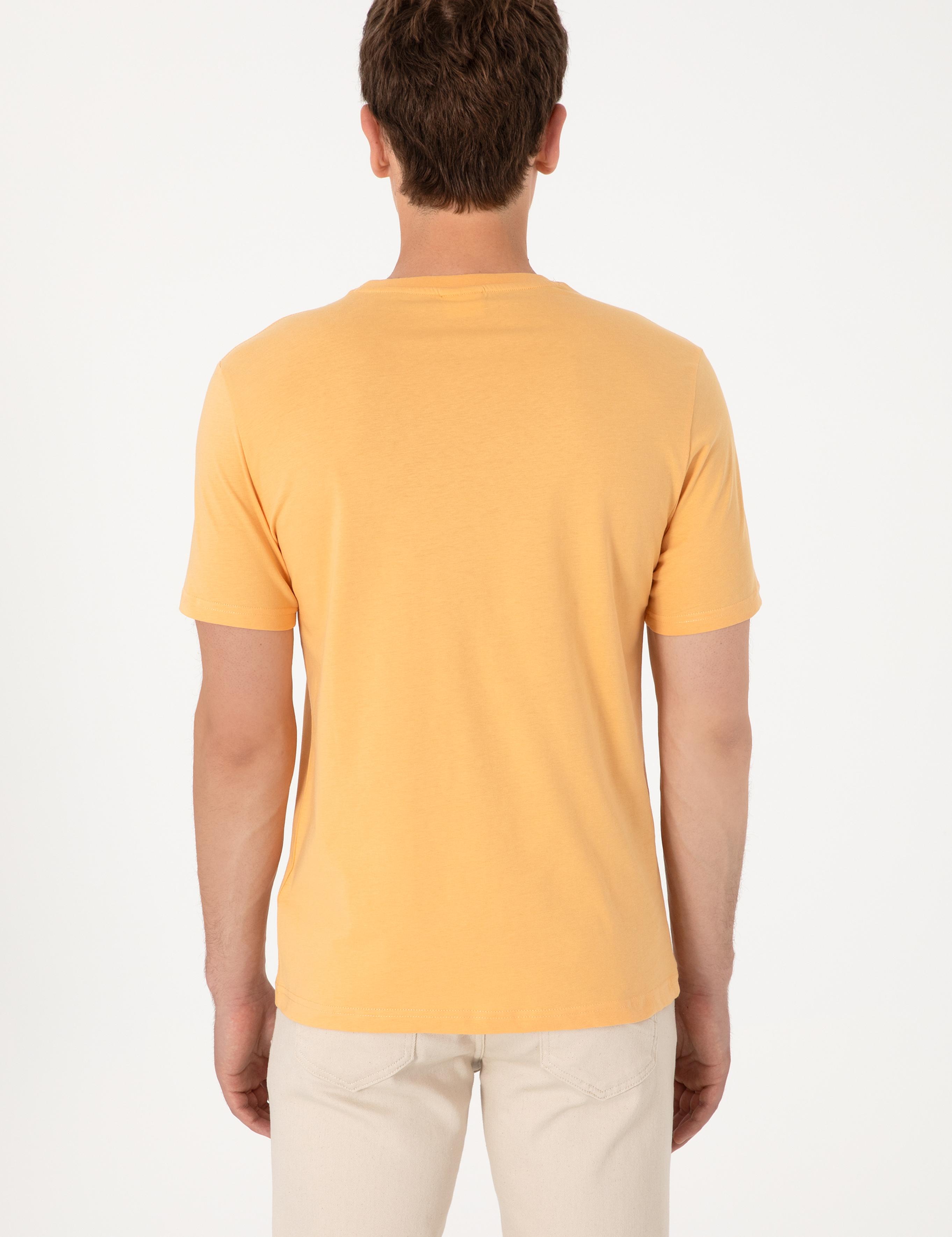 تی شرت یقه گرد  رگولار یقه گرد مردانه یو اس پولو | U.S. Polo Assn. - تصویر 7