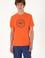Erkek Regular Fit Bisiklet Yaka Nar Çiçeği Tişört