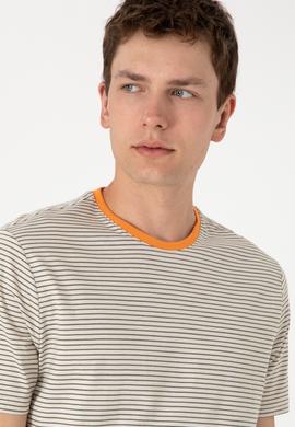 Erkek Regular Fit Bisiklet Yaka Haki Çizgili Tişört - 50306898016