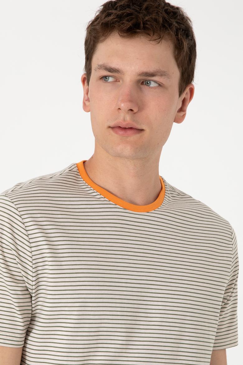 Erkek Regular Fit Bisiklet Yaka Haki Çizgili Tişört - 50306898016