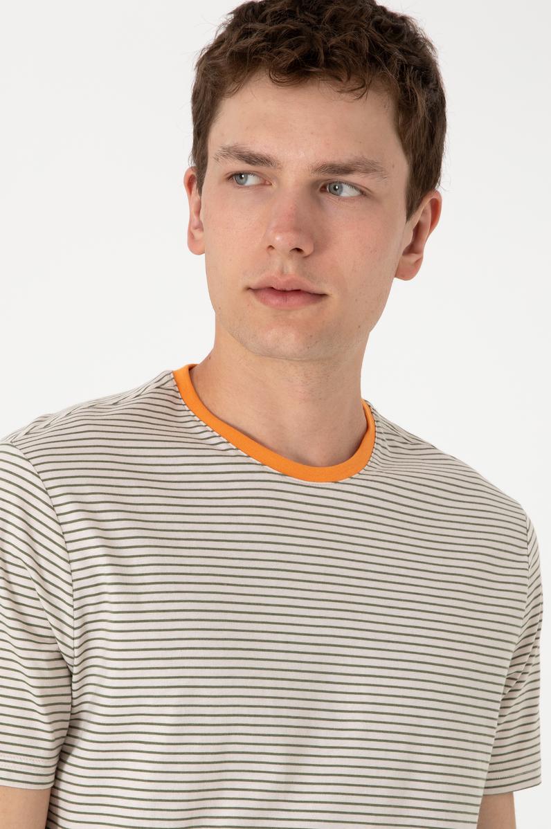Erkek Regular Fit Bisiklet Yaka Haki Çizgili Tişört