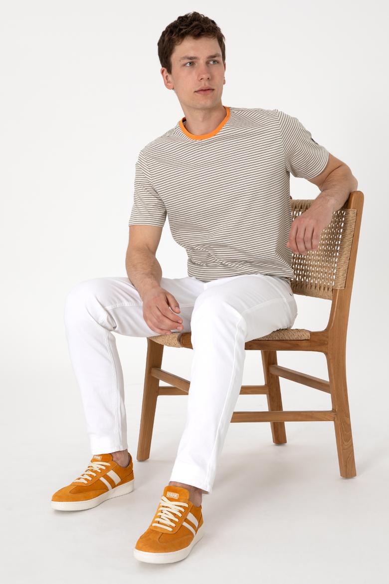 Erkek Regular Fit Bisiklet Yaka Haki Çizgili Tişört - 50306898016