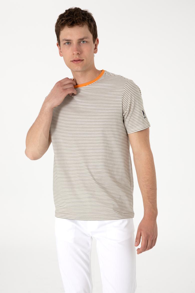 Erkek Regular Fit Bisiklet Yaka Haki Çizgili Tişört