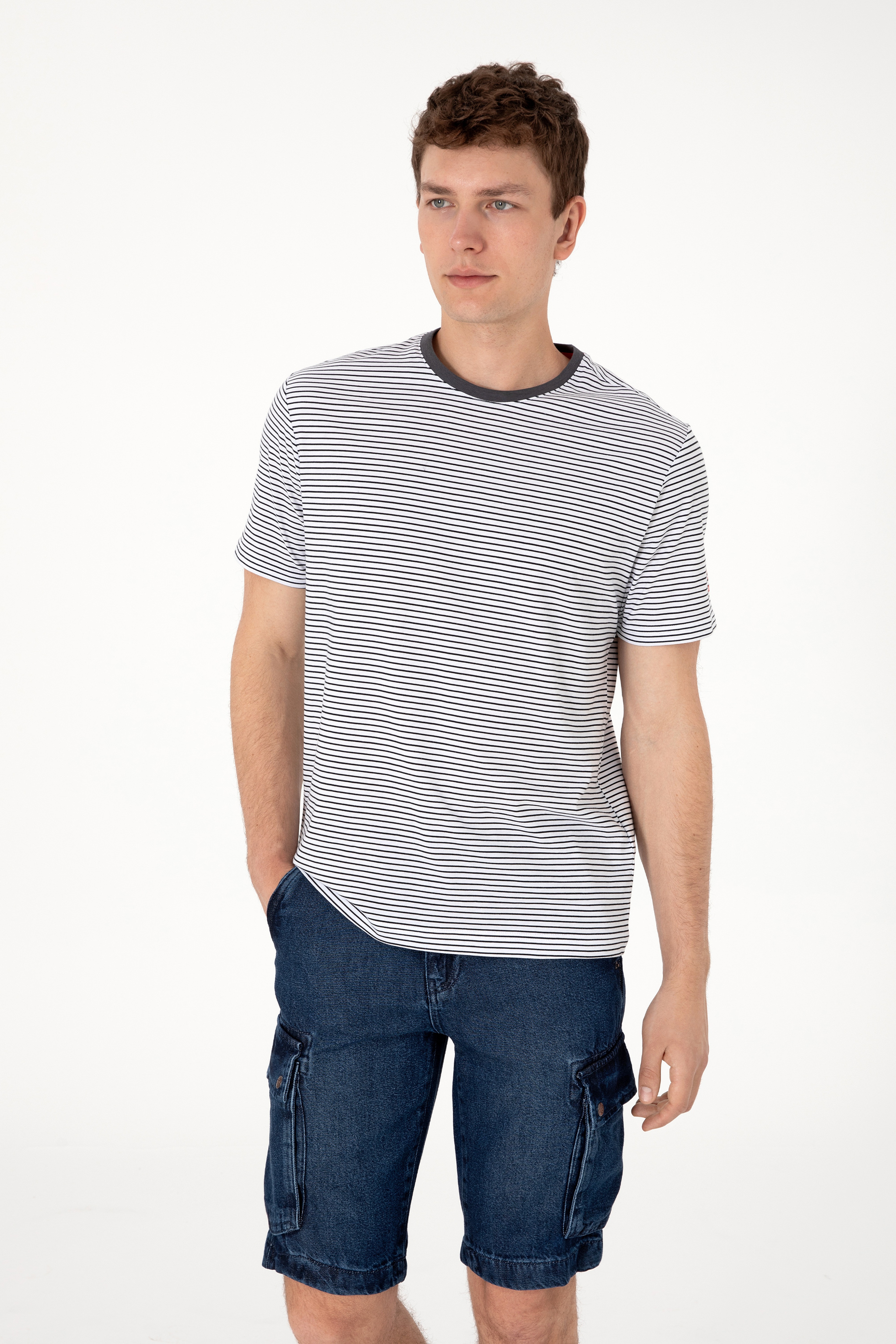 Erkek Regular Fit Bisiklet Yaka Siyah Çizgili Tişört - Image 1