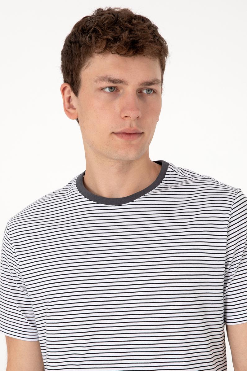 Erkek Regular Fit Bisiklet Yaka Siyah Çizgili Tişört