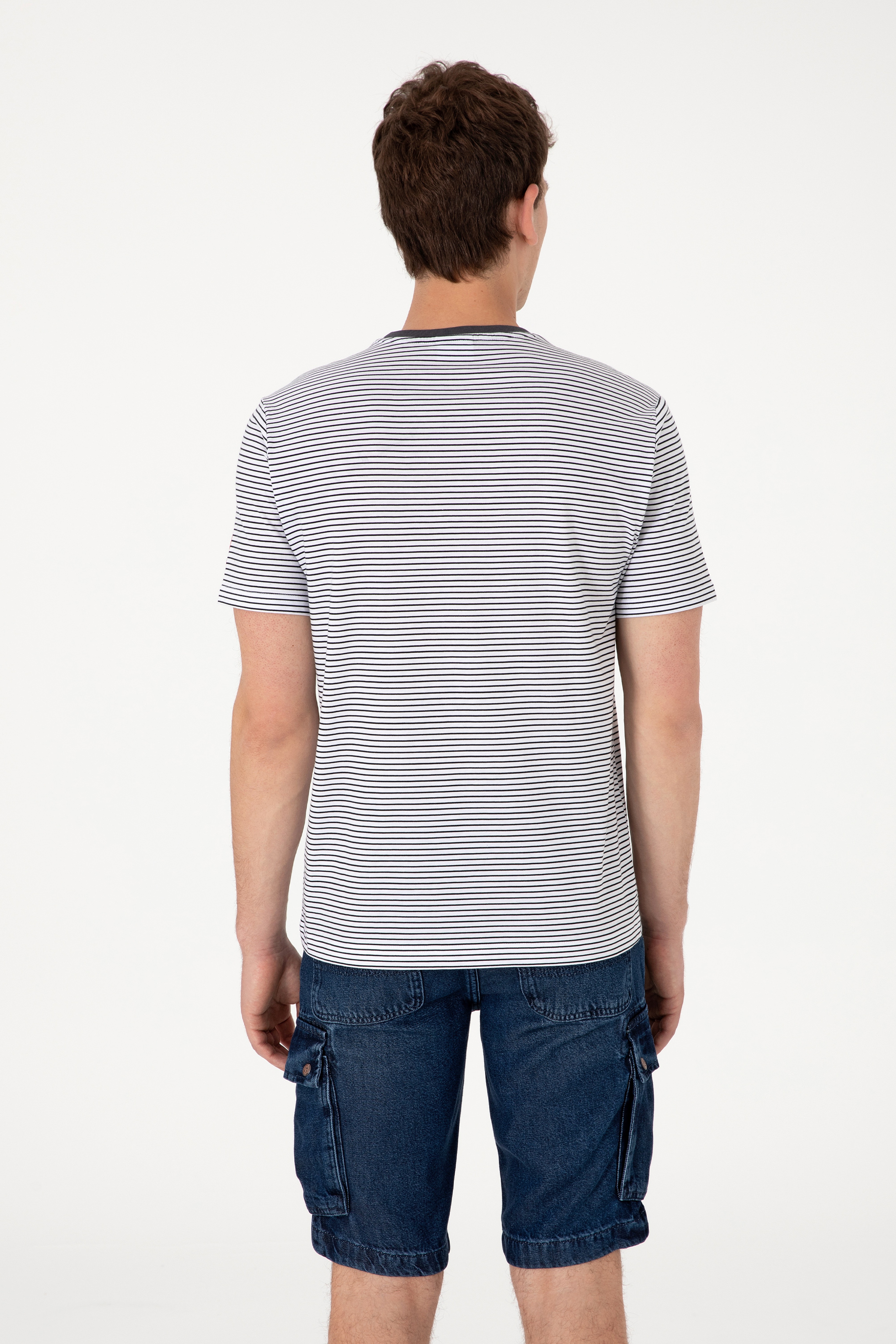 Erkek Regular Fit Bisiklet Yaka Siyah Çizgili Tişört - Image 5