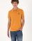 Erkek Hardal Basic Tişört