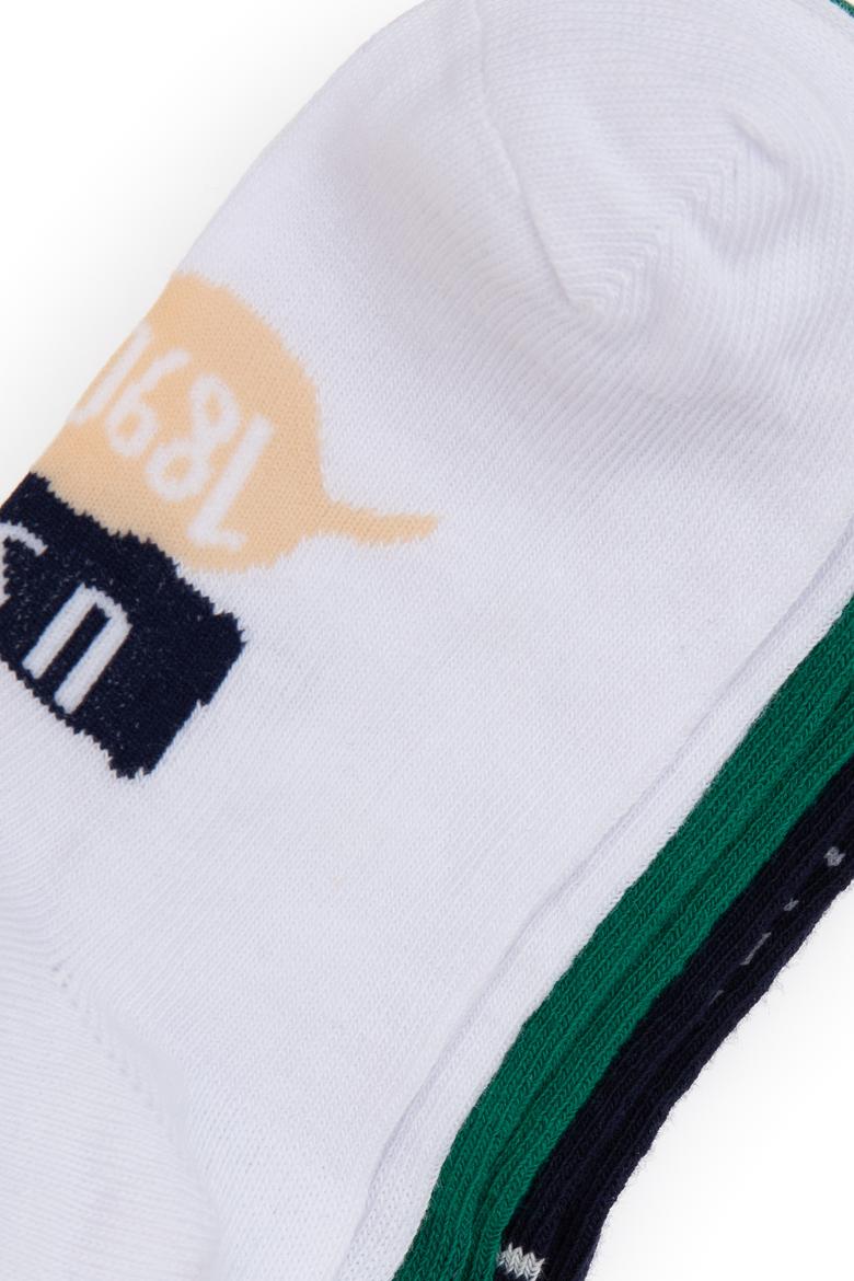 Erkek Çocuk 3'lü Patik Çorap - 50311347001