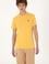 Erkek Hardal Basic Tişört