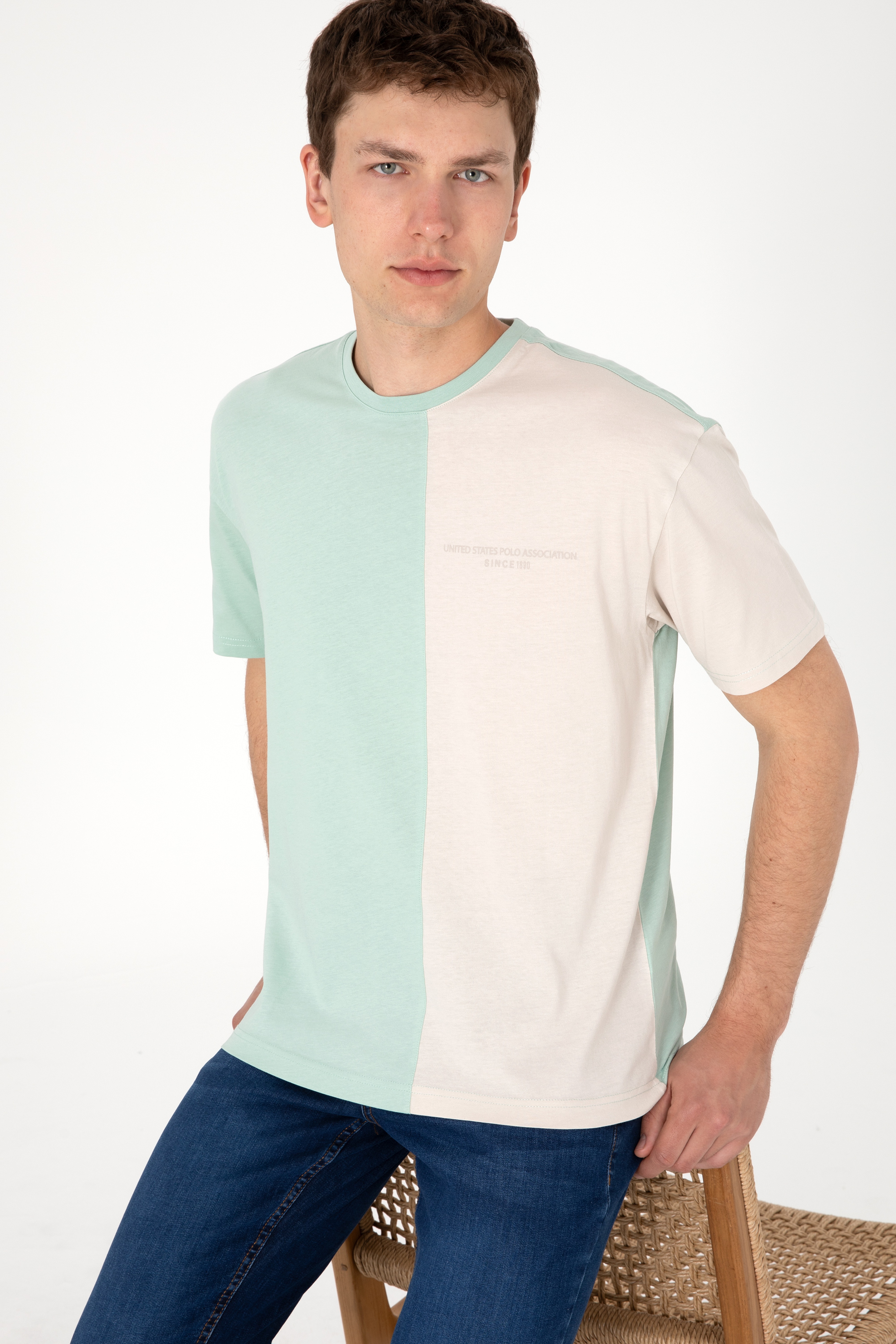 Erkek Comfort Fit Bisiklet Yaka Su Yeşili Tişört - Image 3