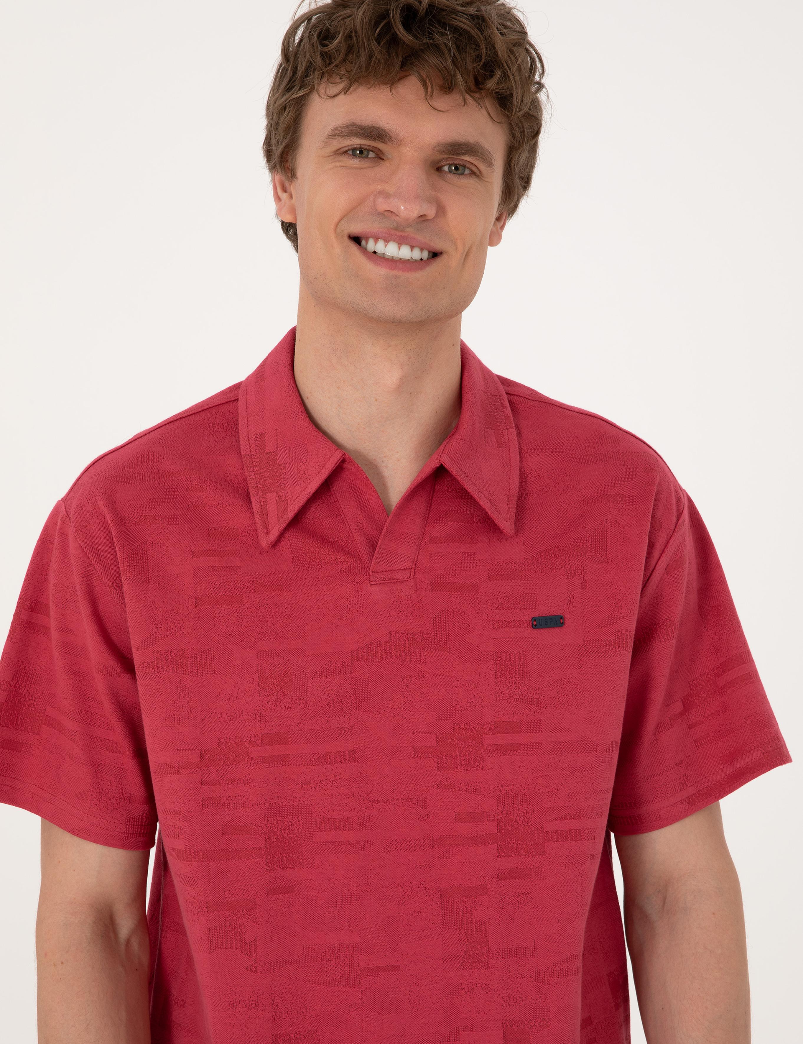 تی شرت یقه انگلیسی ریلکس یقه پولو مردانه یو اس پولو | U.S. Polo Assn. - تصویر 2