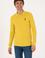 Erkek Sarı Basic Sweatshirt