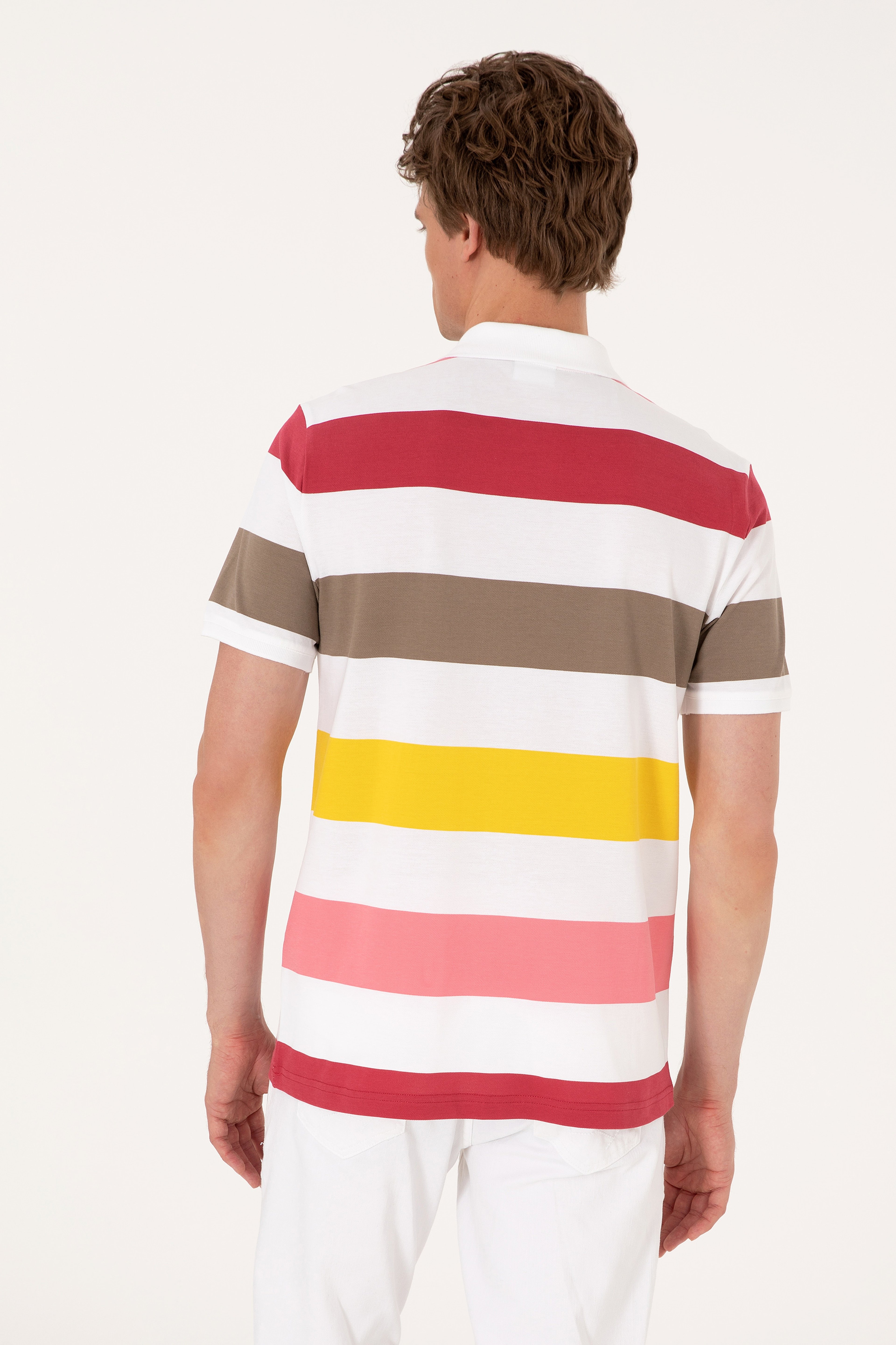 Erkek Regular Fit Polo Yaka Vizon Tişört - Image 5