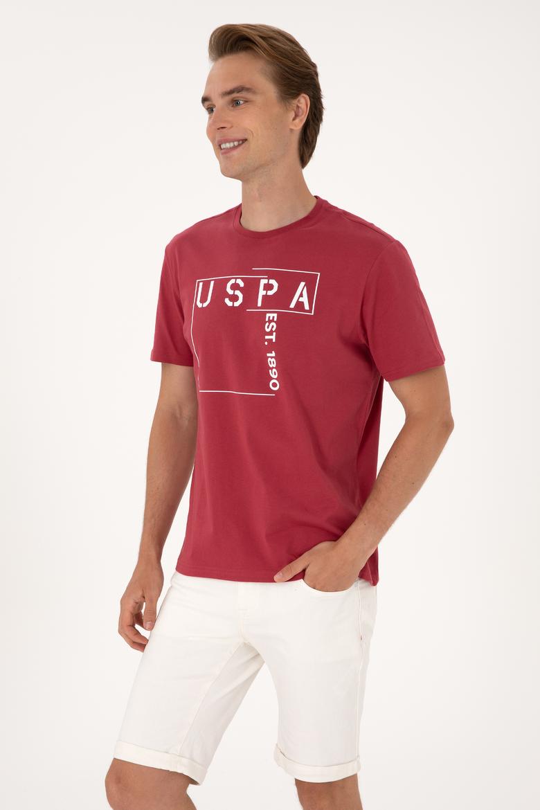 Erkek Regular Fit Vişne Bisiklet Yaka Tişört - 50306908029