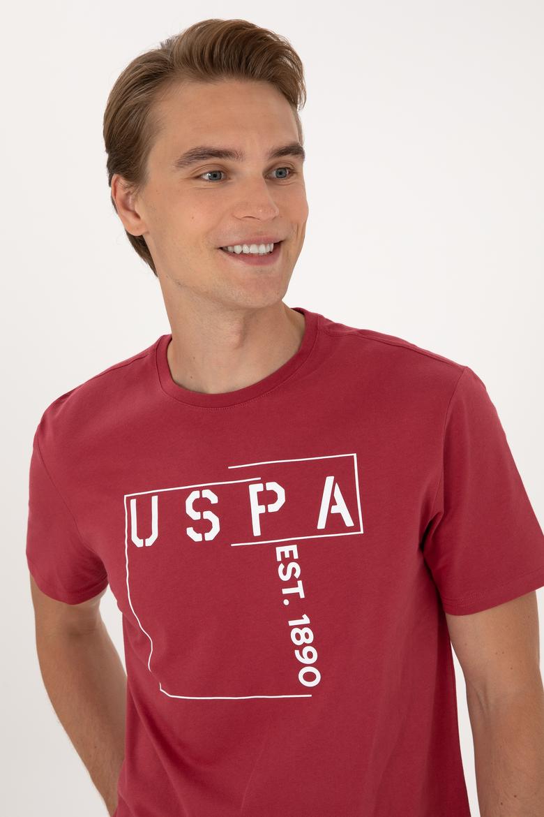 Erkek Regular Fit Vişne Bisiklet Yaka Tişört - 50306908029