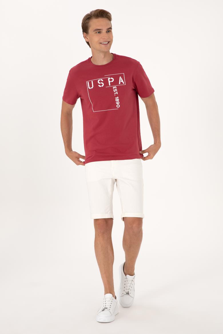 Erkek Regular Fit Vişne Bisiklet Yaka Tişört - 50306908029