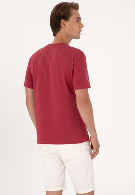 Erkek Regular Fit Vişne Bisiklet Yaka Tişört - 50306908029