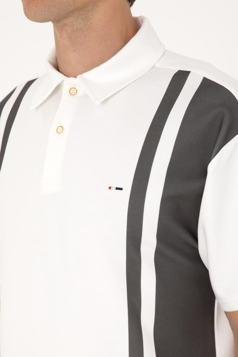 Erkek Comfort Fit Vizon Polo Yaka Tişört - 50300001048