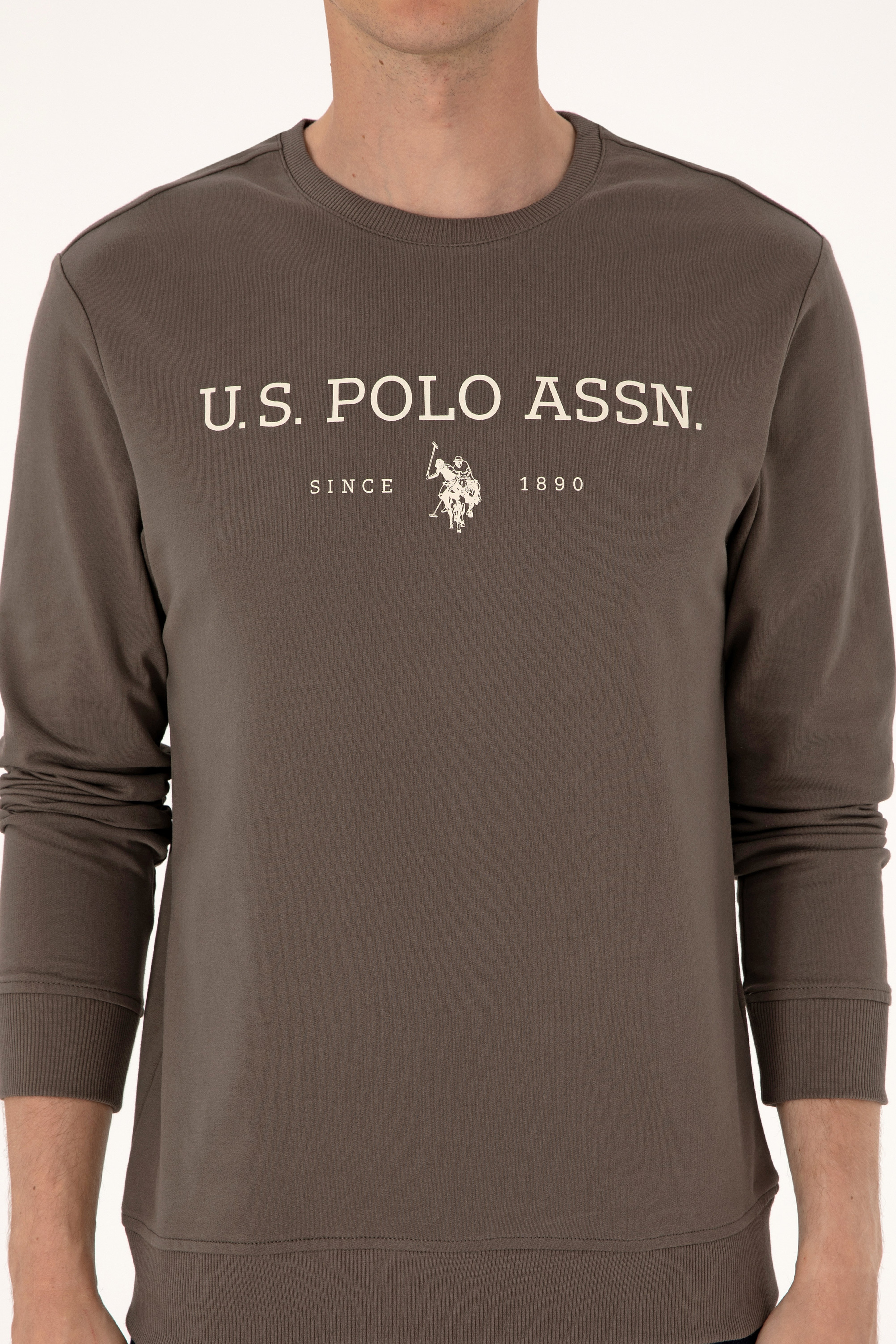 Erkek Regular Fit Bisiklet Yaka Vizon İnce Basic Sweatshirt - Image 6