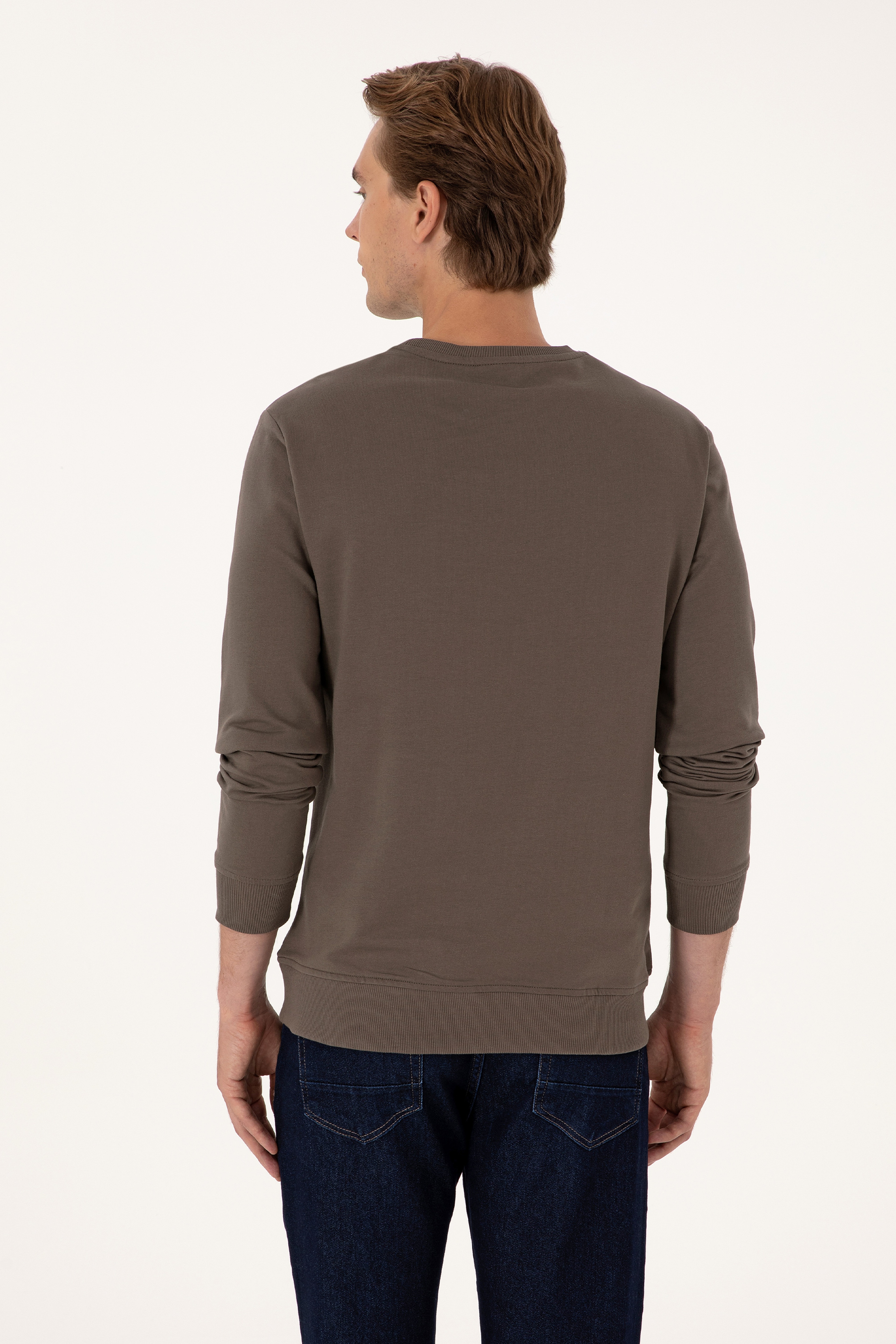 Erkek Regular Fit Bisiklet Yaka Vizon İnce Basic Sweatshirt
