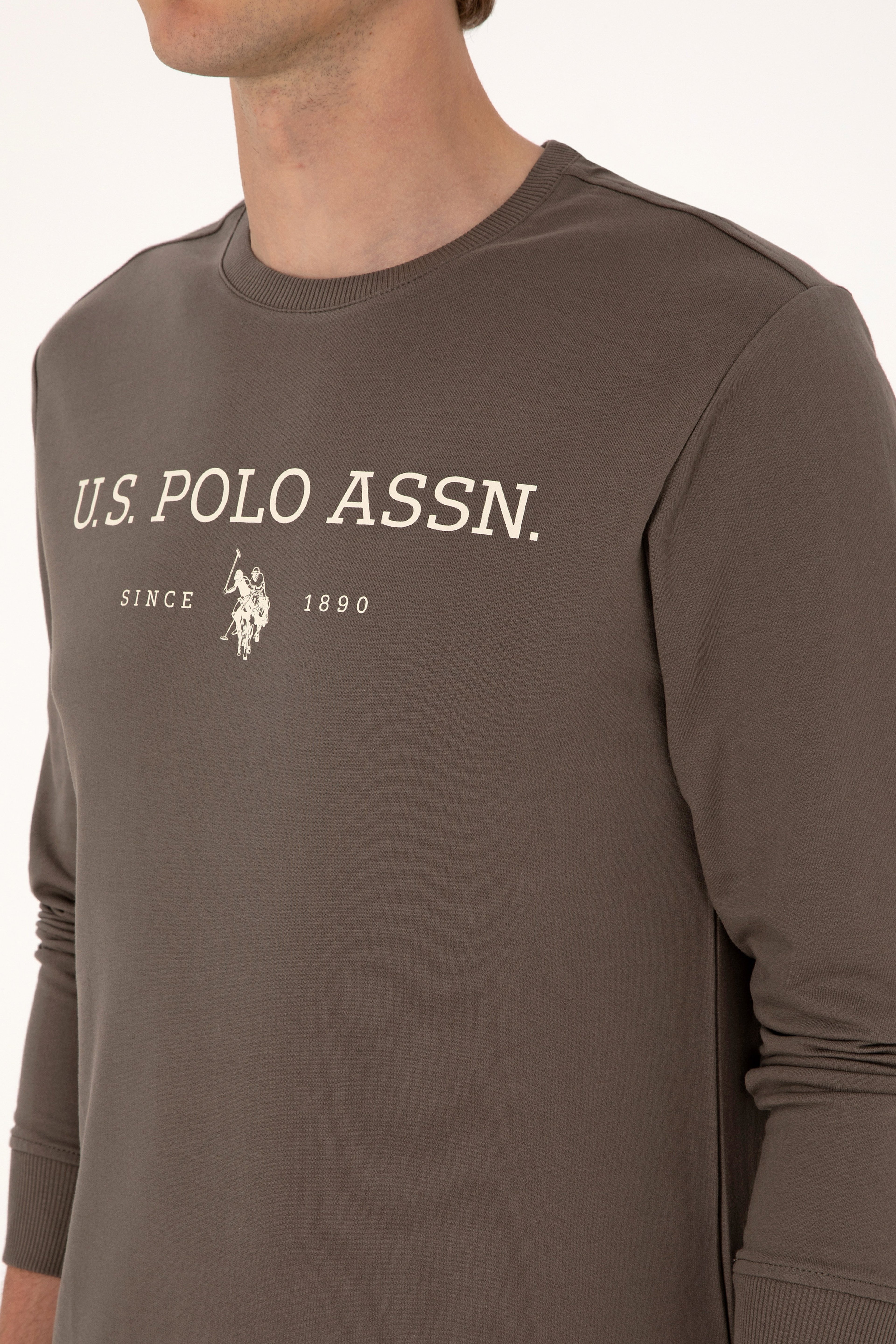 Erkek Regular Fit Bisiklet Yaka Vizon İnce Basic Sweatshirt - Image 7