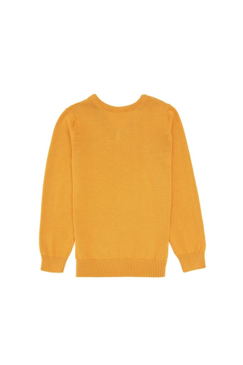 Erkek Çocuk Hardal Basic V Yaka Kazak - 50269036073