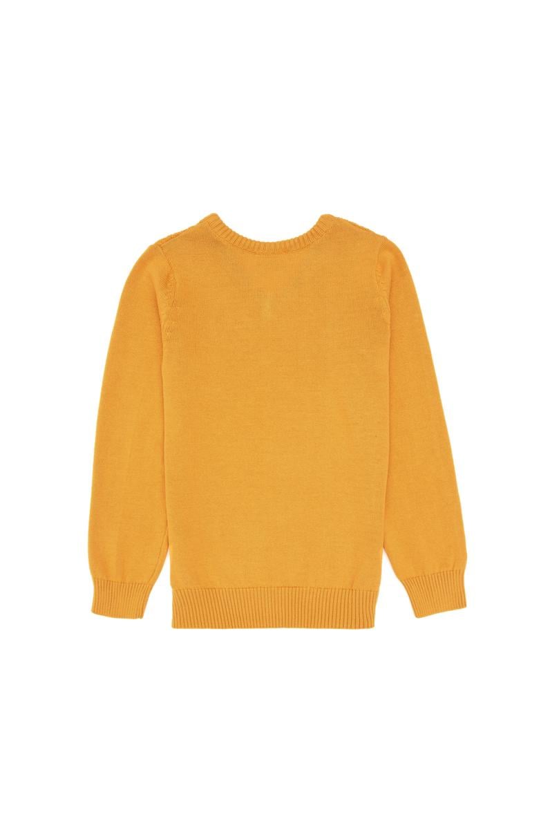 Erkek Çocuk Hardal Basic V Yaka Kazak