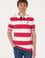 Erkek Regular Fit Vişne Polo Yaka Çizgili Tişört