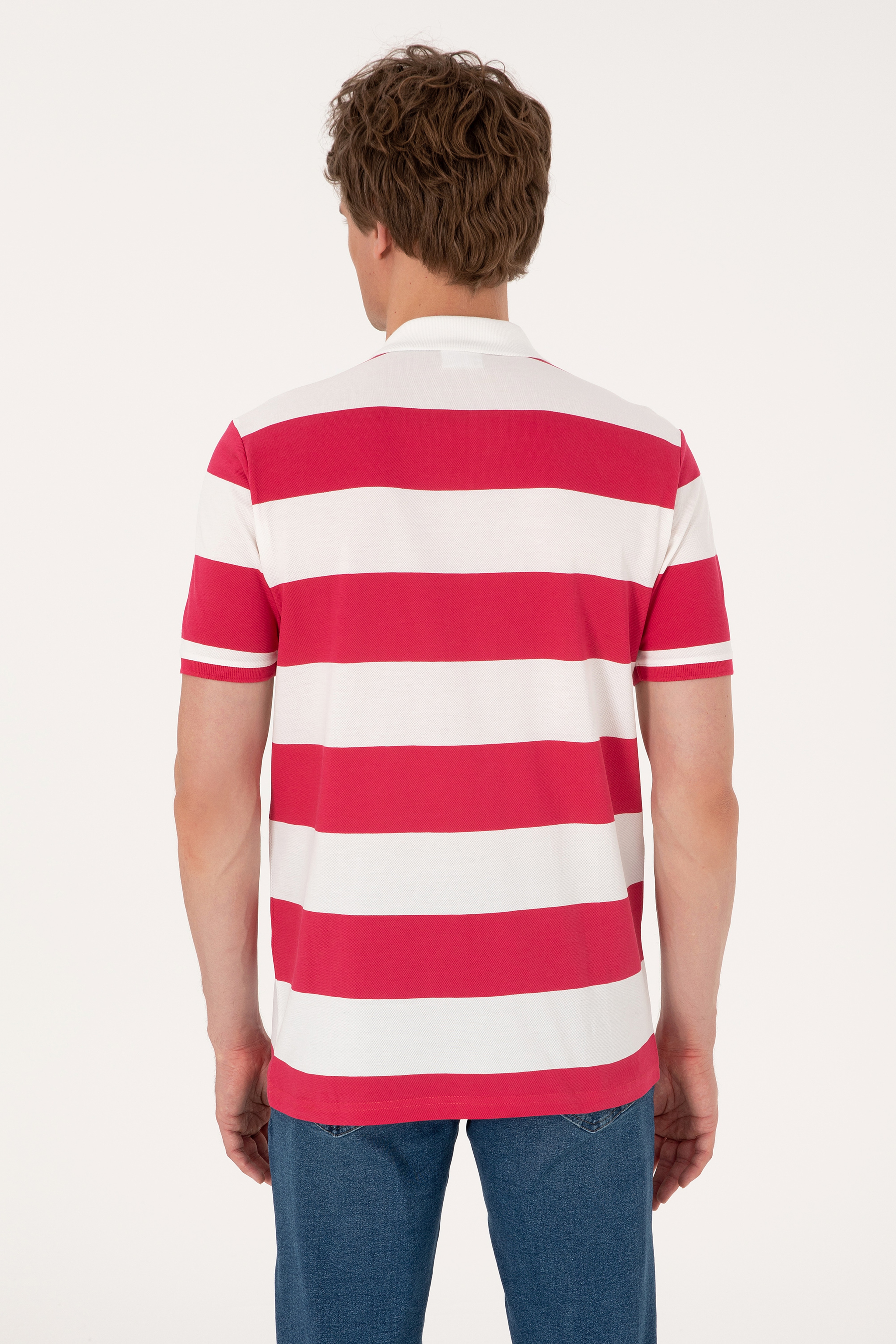 Erkek Regular Fit Vişne Polo Yaka Çizgili Tişört - Image 5