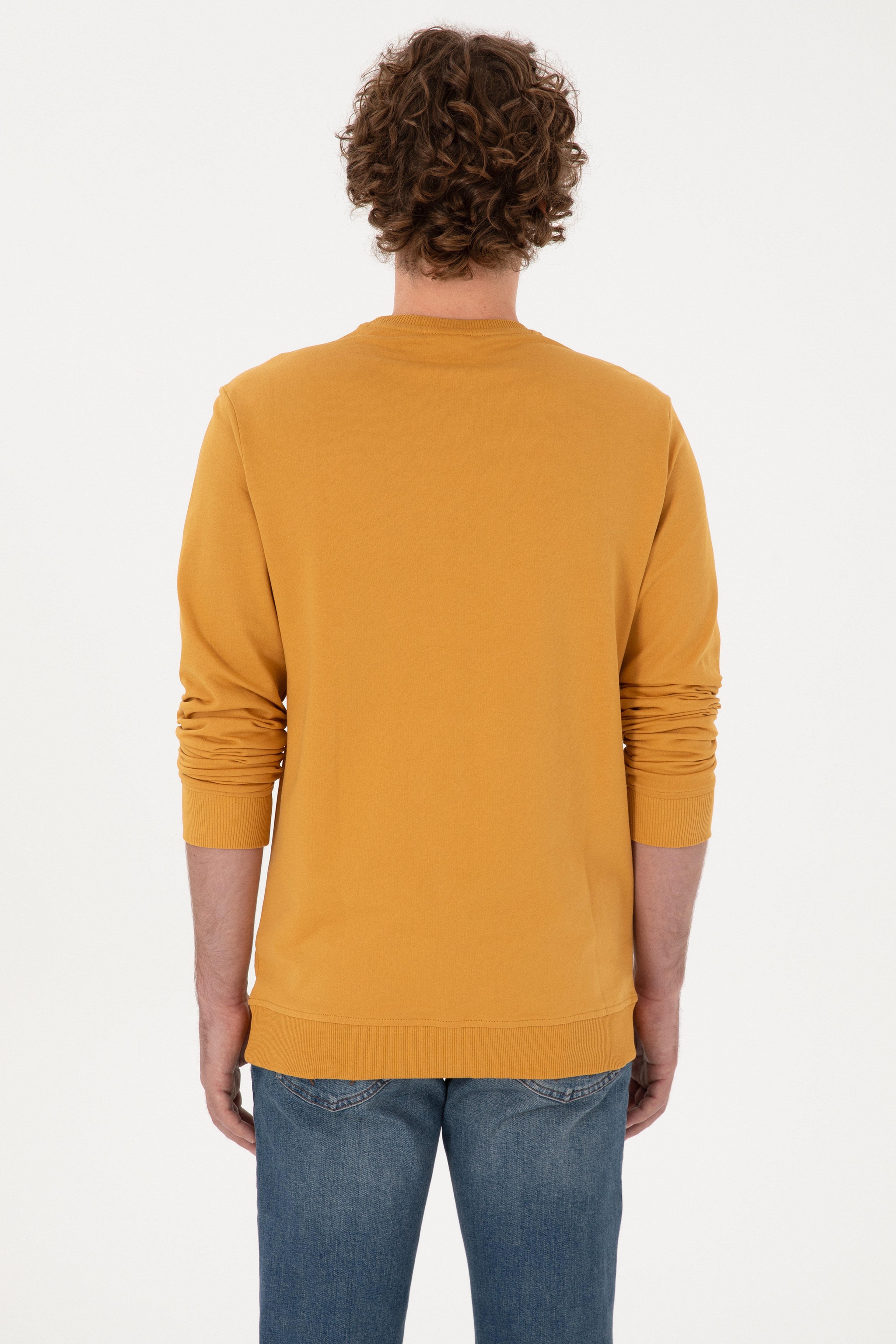 Erkek Hardal Basic Sweatshirt - Image 5