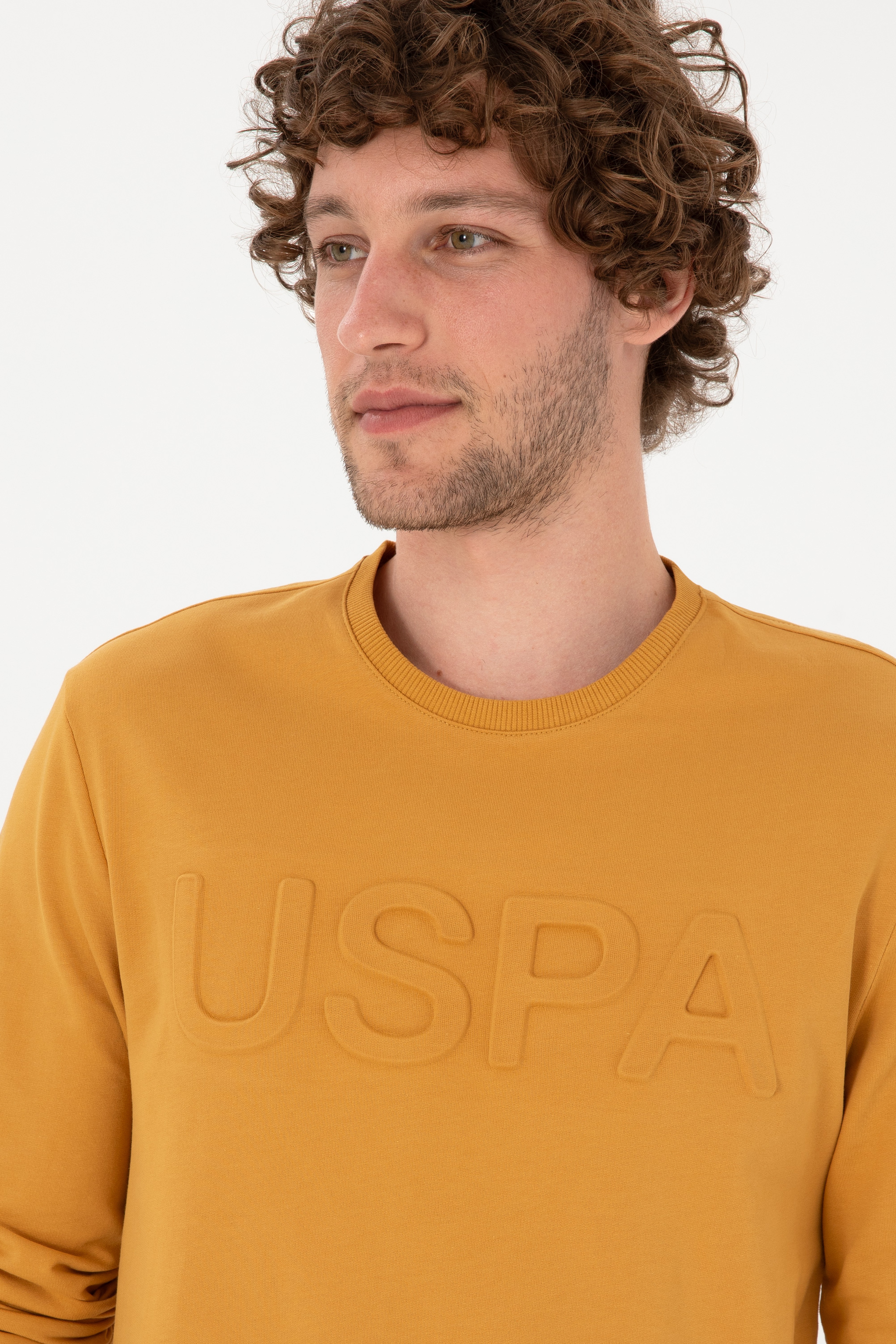 Erkek Hardal Basic Sweatshirt - Image 2