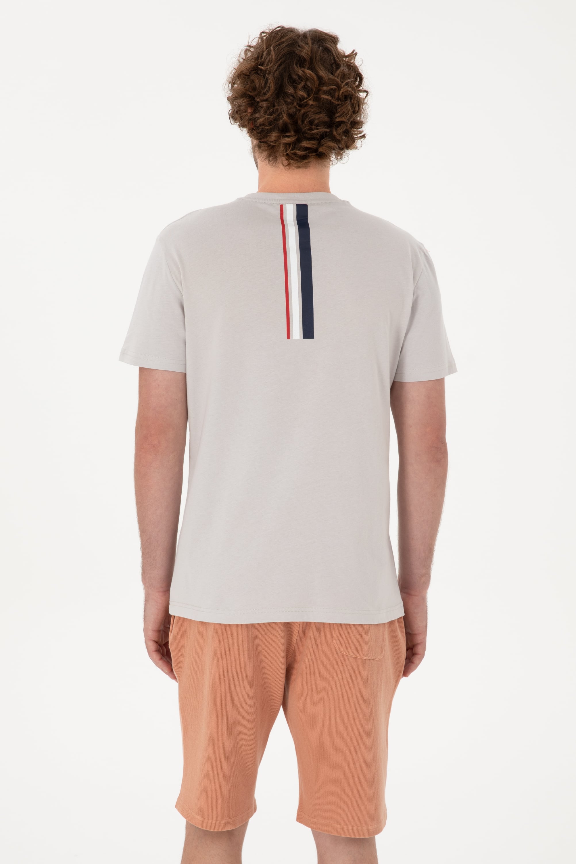 تی شرت یقه گرد رگولار یقه گرد مردانه یو اس پولو | U.S. Polo Assn. - تصویر 5