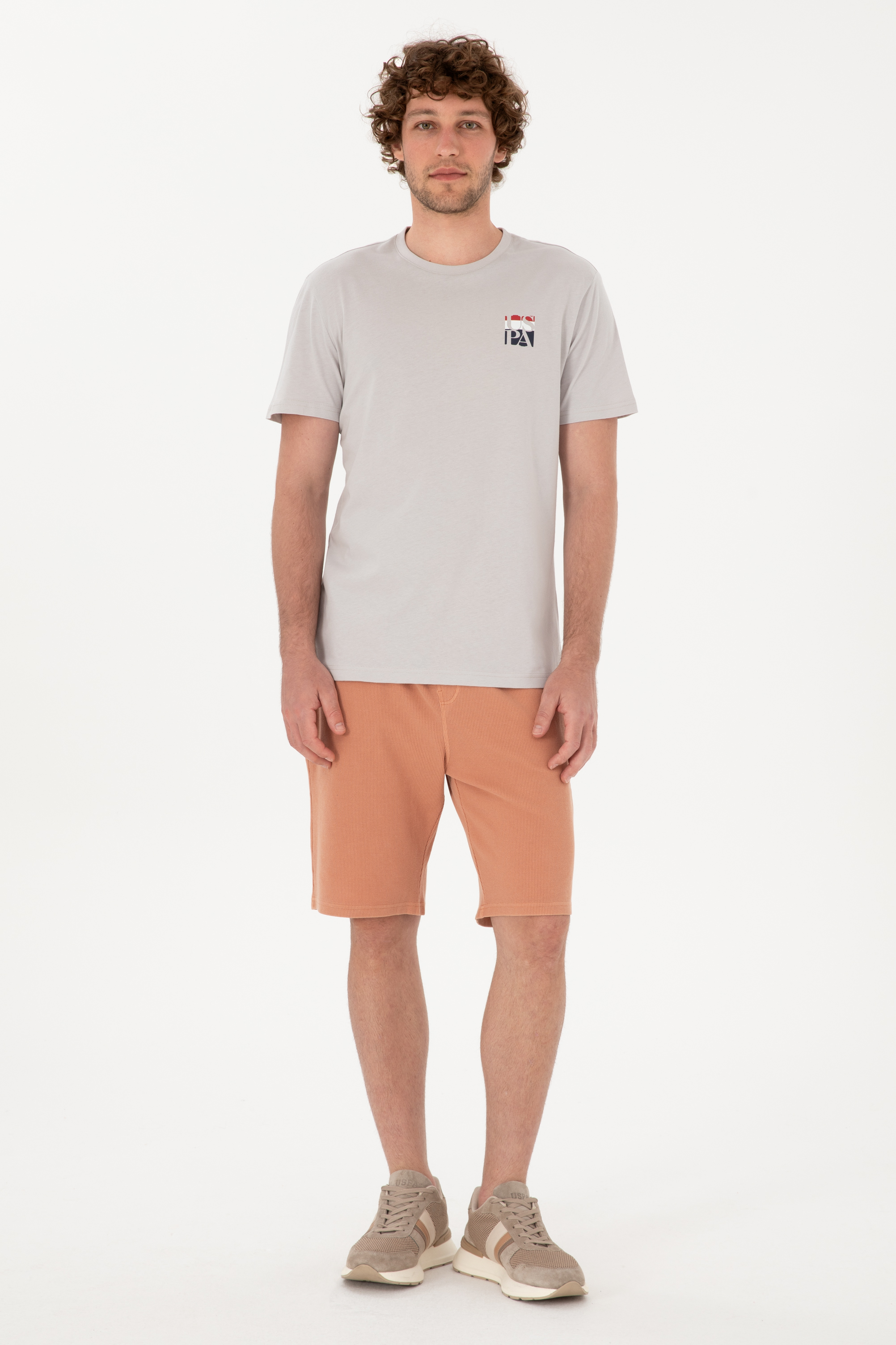 تی شرت یقه گرد رگولار یقه گرد مردانه یو اس پولو | U.S. Polo Assn. - تصویر 4