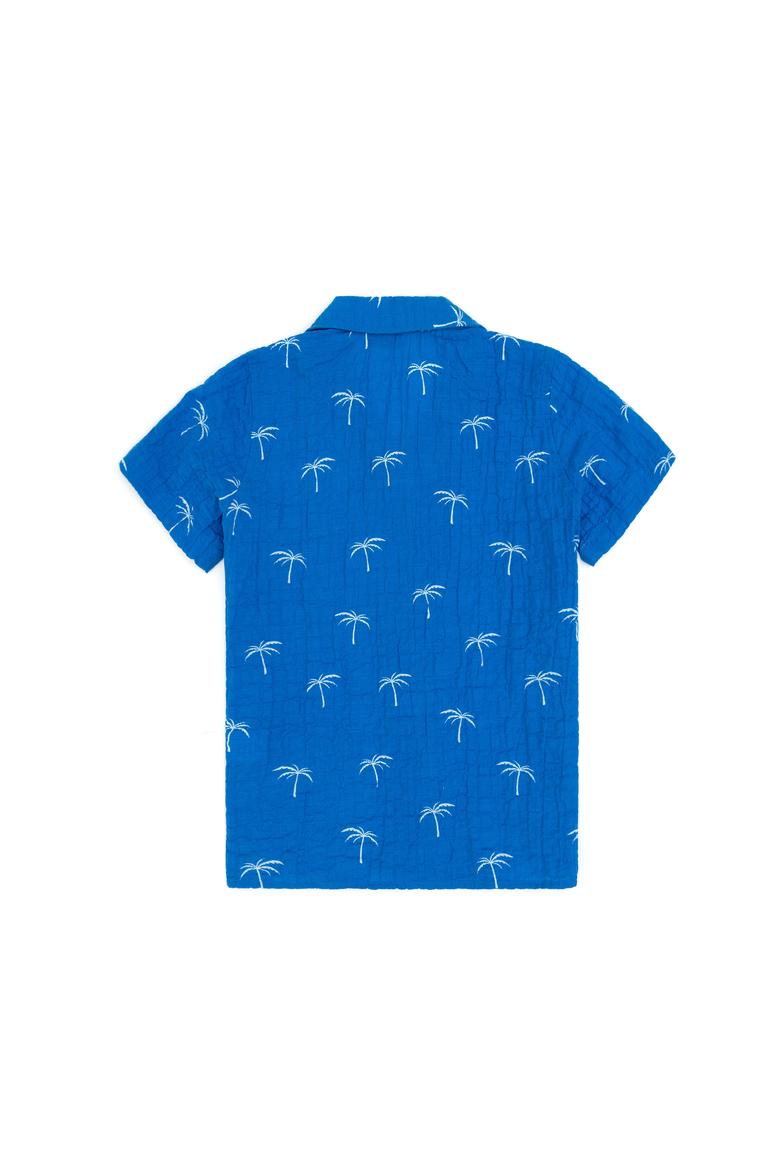 Erkek Çocuk Turkuaz Kısa Kollu Gömlek - 50306582019