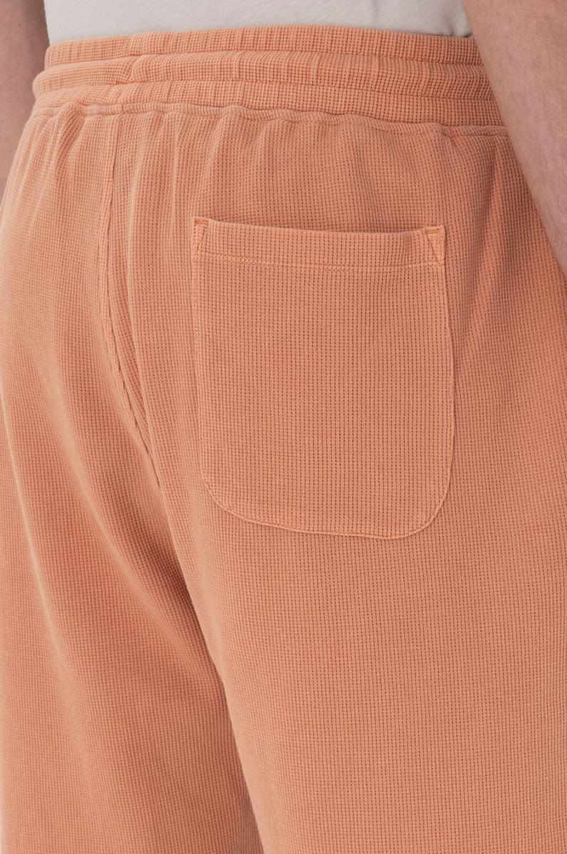 Erkek Pudra Örme Şort